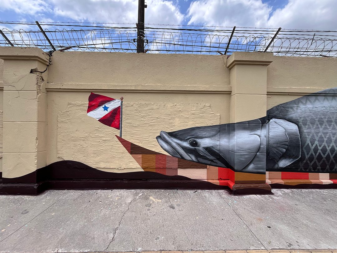 Alessandro Hipz Reflexos-Amazônicos